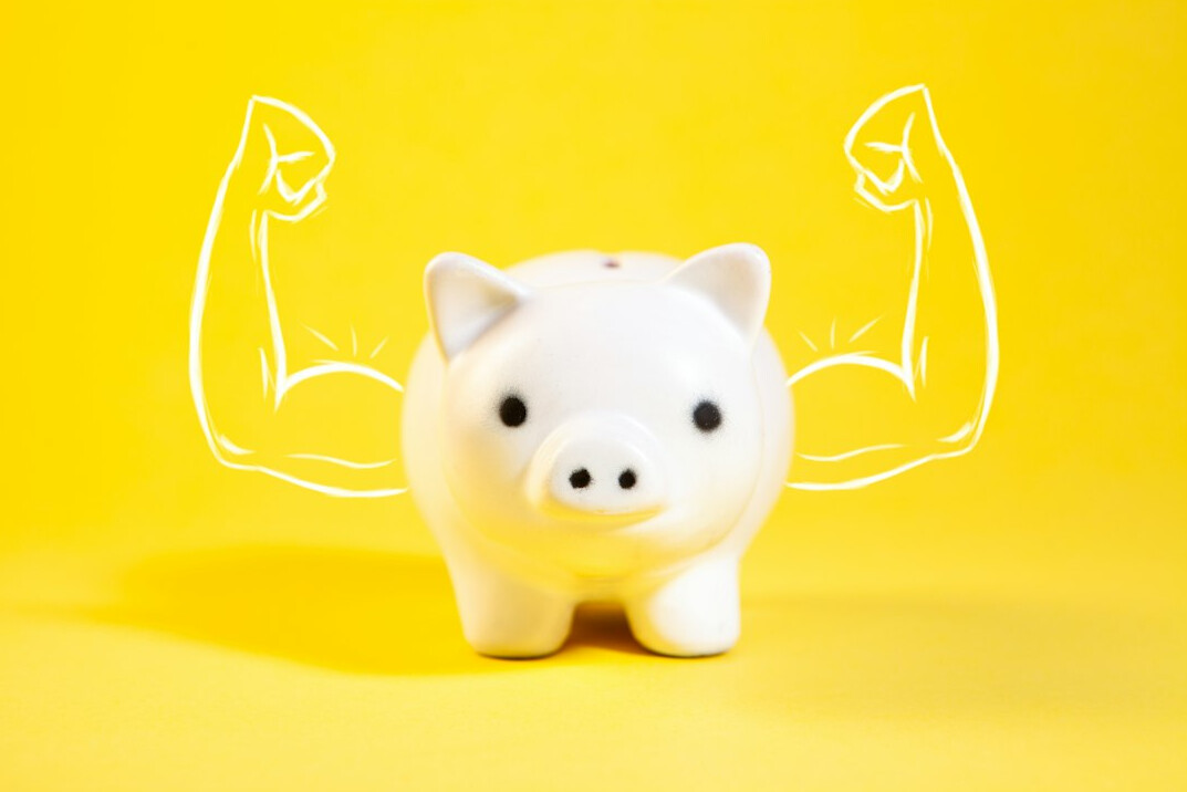 Piggy bank next to coins and a plant
